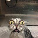 이담헤어 이미지