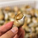 미듬수산 이미지