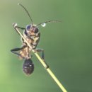 안성이발관 이미지