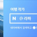 낙타와돌고래 이미지