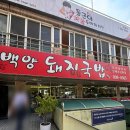 백양돼지국밥 | [부산 맛집] 백양돼지국밥_ 당감동 현지인 국밥 맛집 내돈내산 후기