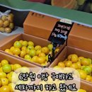 과일소담촌 - 9491 | 과일소담촌