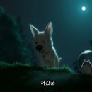 슈퍼독 이미지