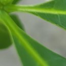 편안한내과의원 이미지