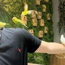 송원목장 이미지