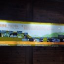 화암 | 내돈내산 정선 여행) 화암동굴 데이트 후기