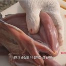 대장군농장 이미지