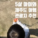 대정읍 좌기동놀이터 | 5살 아이랑 제주도 관광지 추천 (가볼만한 곳 vs 별로였던 곳)