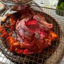 [춘천 야장] 오필승닭발 남춘천점 - 남춘천역 야장 포차 (내돈내산 후기)