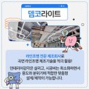뎀코라이트