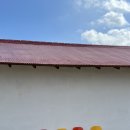 은골농장 | 당진 체험농장 버미오차드 다녀오다 / 블루베리 체험