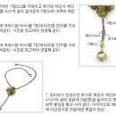 클로버에프씨