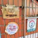 궁중삼계탕 | 몸보신 제대로 하고 온 날, 진짜 국물 맛집 찾았다 학익 궁중삼계탕 솔직후기