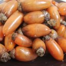 일등장터 이미지