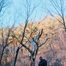 인월리 농로 4 | ■ 지리산둘레길 트레킹 2일차 3구간 일부구간(산내~금계), 4구간 일부구간(금계~용유담)