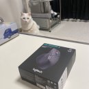 (주)비비코리아 | 내돈내산ㅣ로지텍코리아 MX MASTER 4 FOR MAC 블루투스 무선 마우스 스페이스블랙 자랑+후기