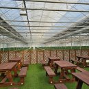 다인농장2 이미지