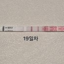 새진해의원 | [임신 준비] 아가온 여성의원 인공수정 3차 결과 : 임신성공!! (임테기 기록 및 아기집 초음파)