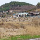 꼬막정식담우