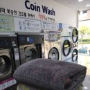 신항세탁소