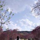 수선화경로당 이미지