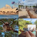 기린04 | 시드니 가볼만한 곳 타롱가주 동물원 입장권 가격 가는법