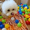 옐레드 부천상동점 이미지