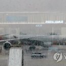 아시아나 이미지