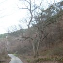 보성강7 이미지