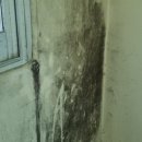 유진 대림 이미지