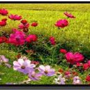 아름다운인연 이미지