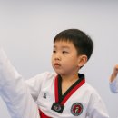 153태권도장 이미지