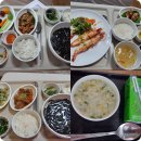 벨라켄넬 | [루시나 산후조리원 후기②] 4~8일차, 황달치료, 산후요가, 벨라마사지, 제대탈락, 강아지예방접종