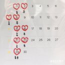 어느예쁜날 - 원주시 송림길 52-34 | 어느예쁜날