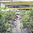 자연의집 이미지