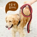 에이치텍 | 대형견주들의 선택, 튼튼한 에이치텍 로프줄 세트!