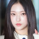 빙고 스테이
