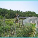 현우농장 이미지