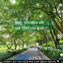 진주 가볼만한곳, 수국이 가득한 [월아산 숲속의 진주] 자연휴양림