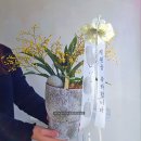 리베리의원 화성병점 이미지