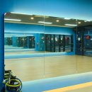 온리스포츠 이미지