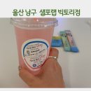 빅토리 | 울산 체질개선다이어트 셀포랩 빅토리점 방문 후기