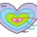 정유성류마내과의원 | 간호조무사 요점 정리 < 성인간호 > -호흡계/ 심장과 혈관계/ 혈액 질환 환자 간호