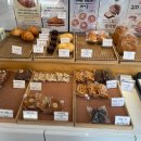 폴브레드 이미지