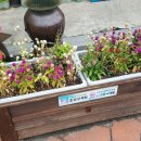 머슴국밥 이미지