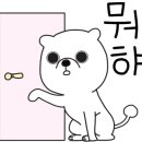 애견목욕탕 이미지