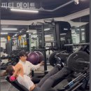 교대역 헬스장 피티 메이트 친절한 곳 후기