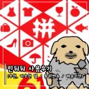 [짠순이팁] 핀둬둬 사용,환불 후기 ㅣ 추천, 비추천 템 / 통관번호 / 배송기한