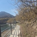 구례산동중학교 | [3월 여행] 구례 산수유꽃축제 &amp; 광양 매화축제 주차·일정 총정리! 현천마을의 여유로운 봄 풍경✨