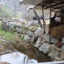 둥구나무민박 이미지